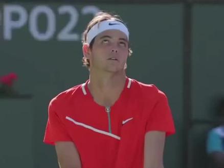 供了参照 供了参照